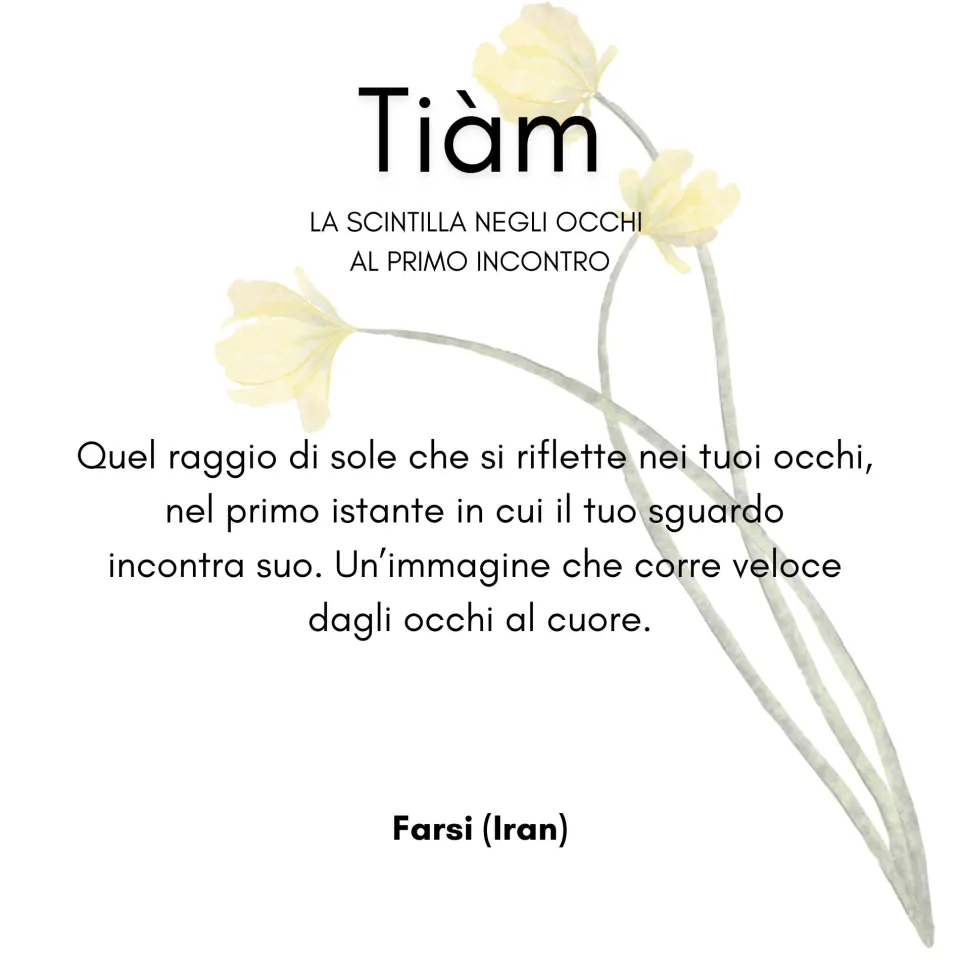 anello_intraducibili_tiam_1.webp Anelli*Spadarella Gioielli Anello Intraducibili TIA'M - AN780